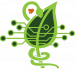 Swamp